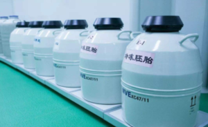 在做试管婴儿期间胚胎可以进行国际运输吗？