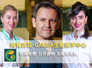 格鲁吉亚Gagua医院