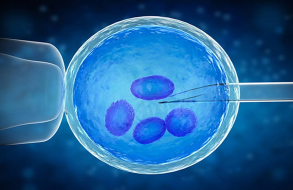 哈萨克斯坦试管婴儿医院：为患者提供专业安全的治疗服务