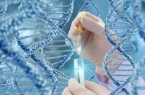 哈萨克斯坦做试管婴儿的费用