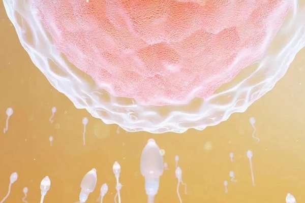 长春助孕指南：试管婴儿费用估算，医院成功率排行