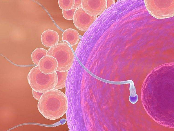 导致促卵泡激素偏低的原因：卵巢功能异常是关键