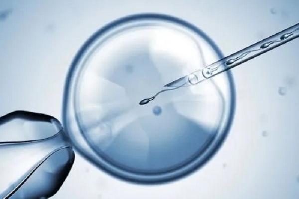 男方染色体异常，选择三代试管婴儿技术的成功率更高