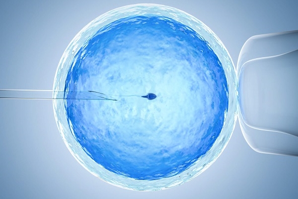 试管胚胎移植位置和着床成功率密切相关