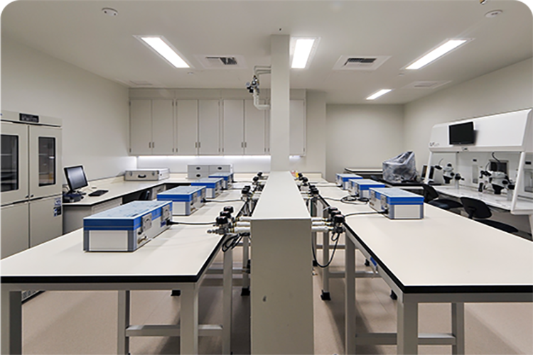 准备迎接生命奇迹:去加州做试管婴儿前的全面准备