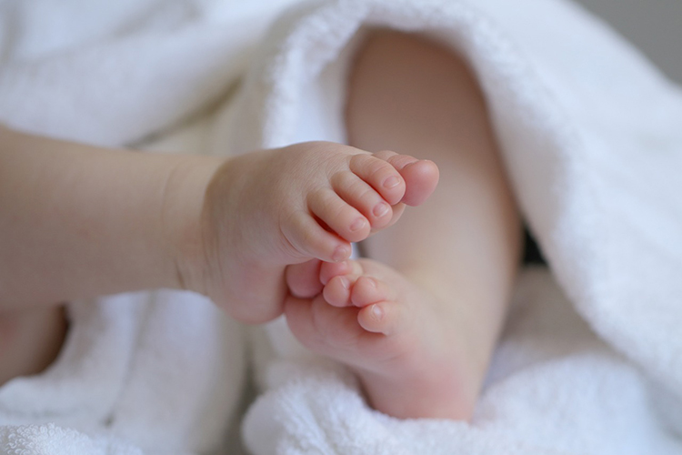 美国试管婴儿中卵泡抽取的时间点和过程解析