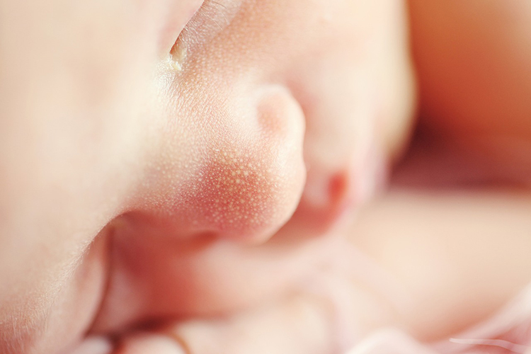 美国试管婴儿：胚胎9细胞发育情况详解