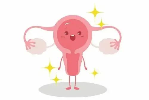 子宫健康=生育底气！易孕体质修炼手册+不孕避坑攻略
