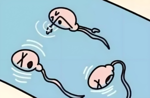 “小蝌蚪”迟迟不融化？男性必看！4招破解精液不液化难题