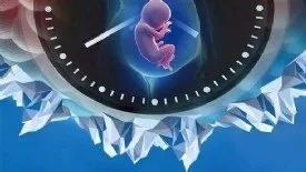 冻卵：科技如何为女性争取“生育自由”？