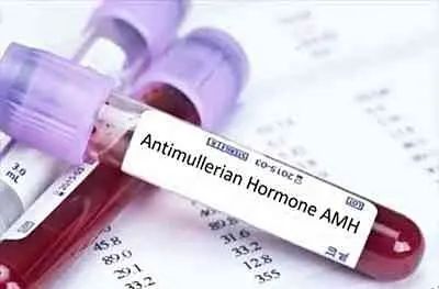 AMH0.36做试管婴儿的“极限挑战”，如何成功逆袭？