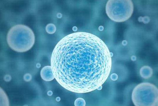 自然周期试管方案取卵仅1枚：不必惊慌，科学认知是关键