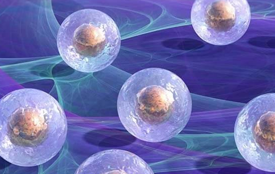 取卵并非“多多益善”：解码试管婴儿中卵子可用率的科学真相