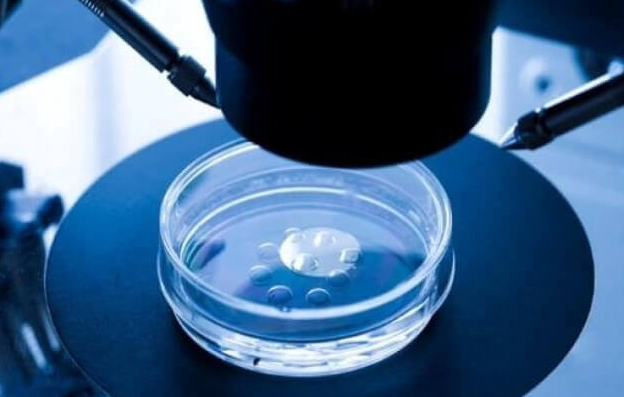 移植3ac囊胚着床成功率高不高？弄清其质量等级就知晓