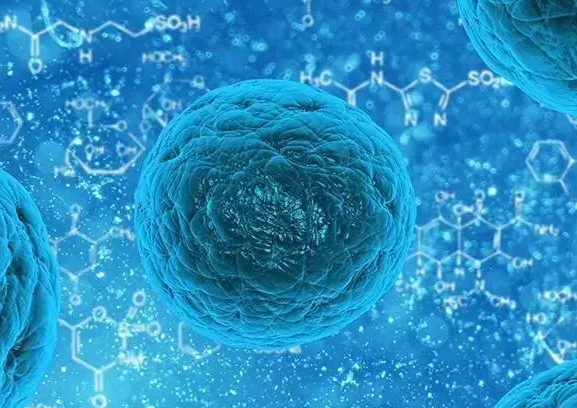 孕酮高于1为何不宜移植胚胎？强行移植的潜在风险解析