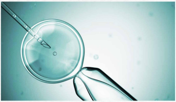 AmCan美加生殖医疗在复杂IVF周期中的精准决策与前沿干预