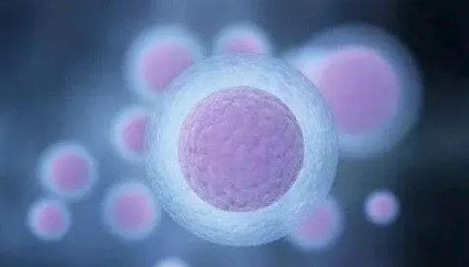 美国辅助生殖的科学之路：AmCan美加医疗的技术深度解析