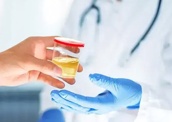试管婴儿前肾功能检查：守护孕育安全的关键防线