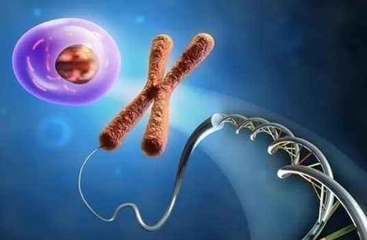 试管移植后HCG升高不翻倍：弄清原因才知是否正常