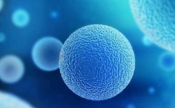 试管移植第三天出现血栓：正常现象与高风险群体的科学解读