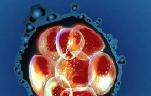 试管婴儿性别倾向与胚胎发育质量:科学解析与应对策略