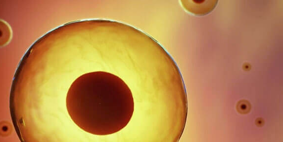 HCG翻倍而雌二醇下降：警惕流产与胚胎发育异常