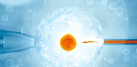 做试管婴儿为什么要降糖？一文知提高胚胎种植率的奥秘