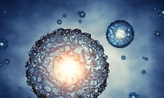 冻胚移植全过程解析：解冻复苏仅是关键一环