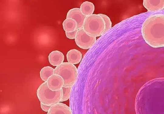 试管促排卵泡不均：影响卵子质量的多重风险与应对策略