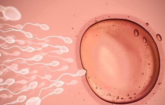 试管婴儿与胎盘粘连：发生率远低于千分之一的医学真相