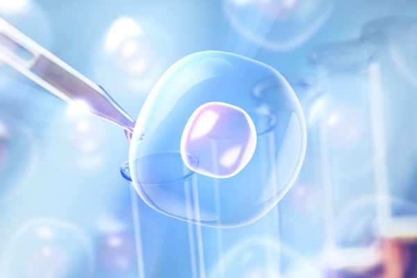 嵌合体胚胎移植与健康宝宝：科学解析与决策指南