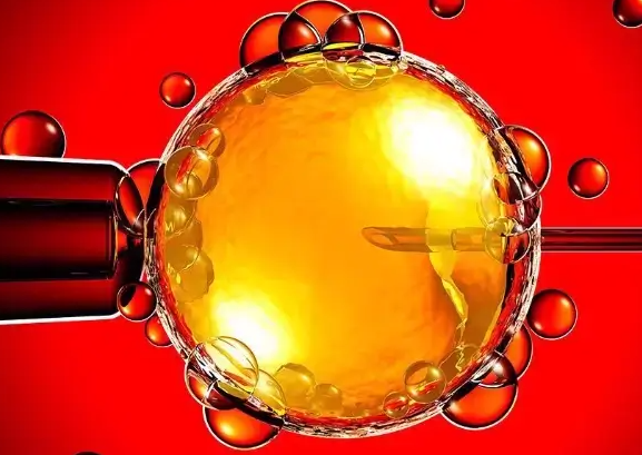 黄体功能不全对试管婴儿成功率的影响：严重者妊娠率不足30%