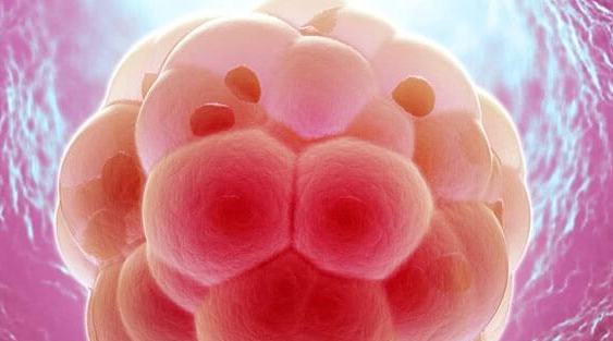 鲜胚移植成功后的感受：乳房胀痛最为常见，个体差异显著