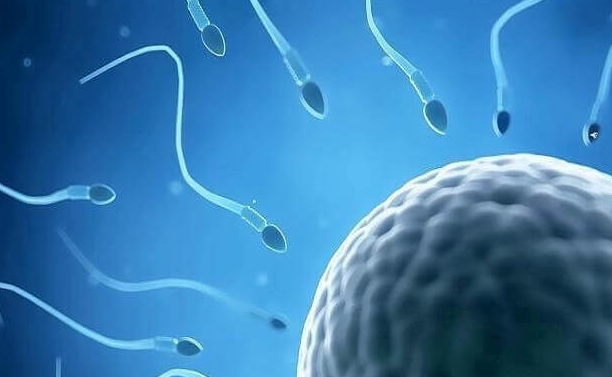 三代试管婴儿对精子的要求:数量与质量并重