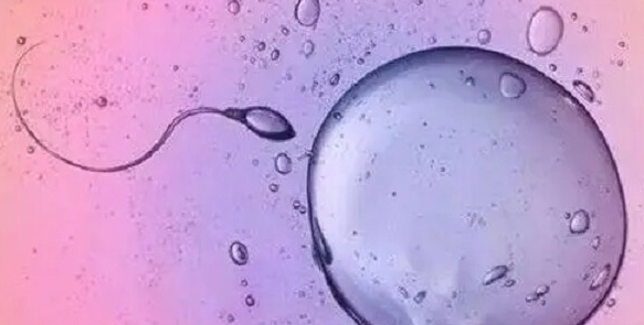 黄体期促排方案:五大优势助力生育梦想