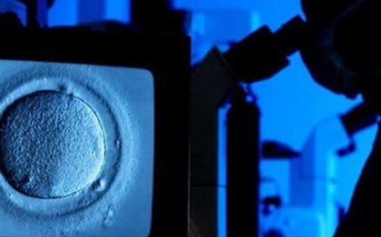 染色体异常可能养成囊胚,科学管理或能提高成功率