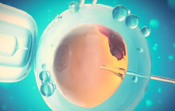 试管婴儿智商并不低,遗传因素才是关键