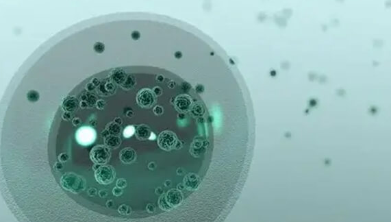 试管婴儿冷冻胚胎:多重优势助力生育梦想