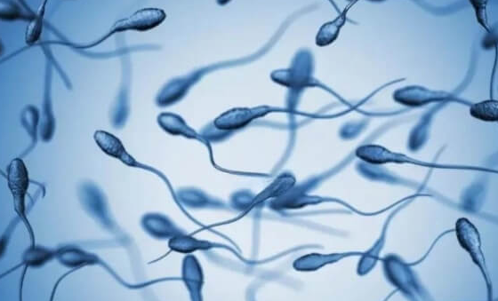 做试管婴儿前,男性这样吃提升精子活力