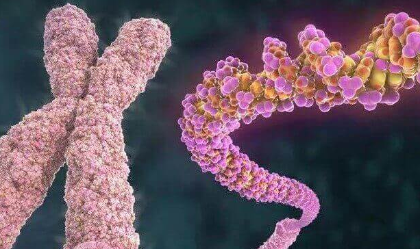 多发性骨软骨瘤与三代试管婴儿:遗传风险与应对策略