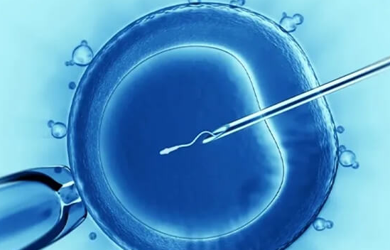 试管移植后：以饮食与情绪呵护胚胎健康成长