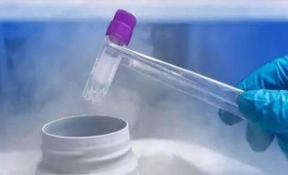 冻胚解冻后质量下降：多因素下的隐忧