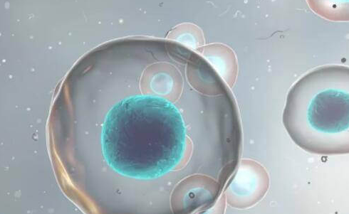 卵巢早衰试管促排方案大揭秘：拮抗剂VS短方案，如何选？