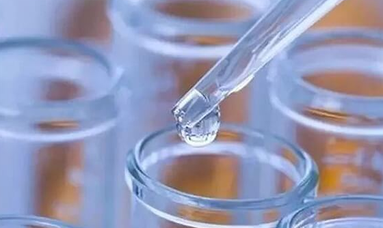 4cc囊胚：质量评估与着床可能性解析