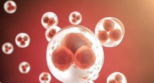 高龄夫妇吉尔吉斯斯坦试管助孕：六步圆梦，省心又高效！