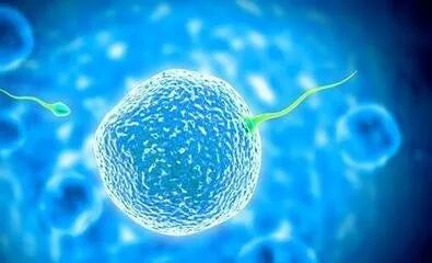 在吉尔吉斯斯坦做试管，取卵时男方取不出精子咋办？