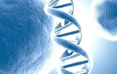 吉尔吉斯斯坦三代试管技术可以筛查哪些疾病？