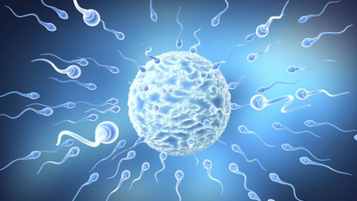 单身男性赴吉尔吉斯斯坦试管助孕，行前检查及注意事项