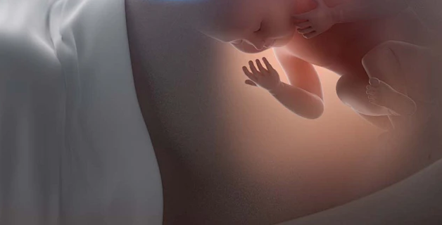 高龄试管生育:攒胚胎、直接移植还是供卵,该怎么选?