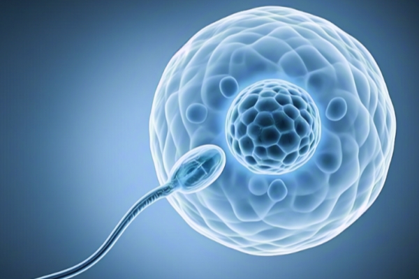 去吉尔吉斯斯坦做试管，对精子和卵子有哪些要求？